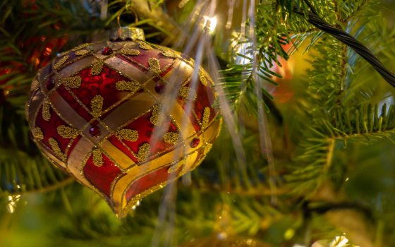 a red and gold ornament hanging on a christmas tree